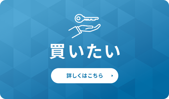 買いたい